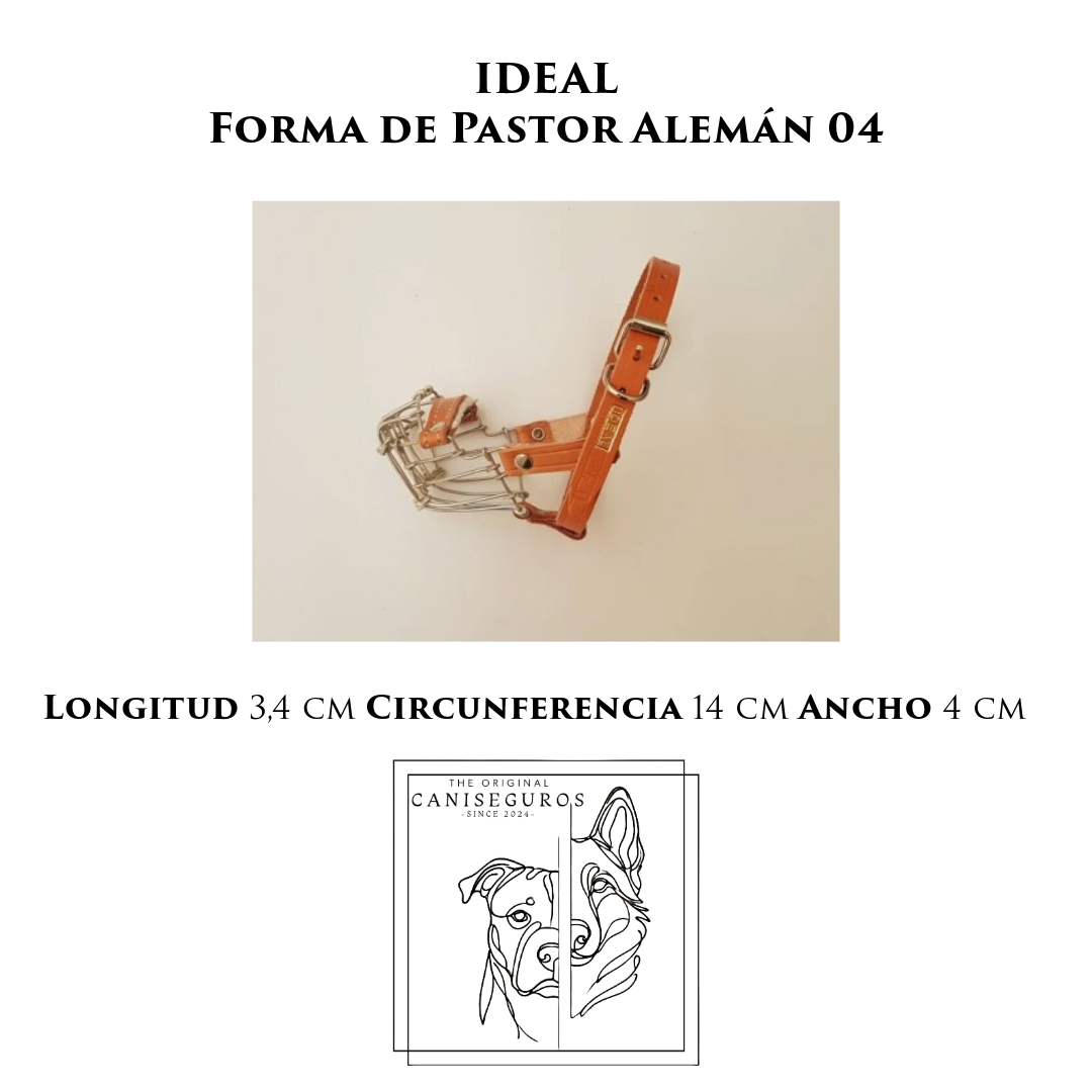 IDEAL Forma de Pastor Aleman 04