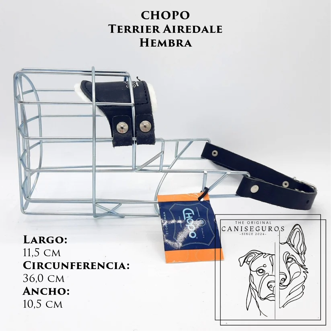CHOPO Airedale Terrier Hembra
