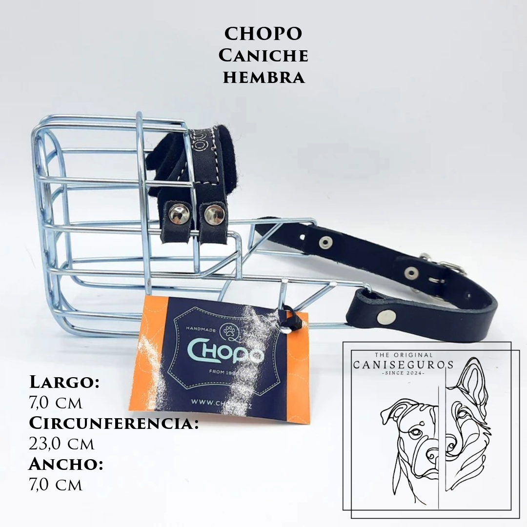 CHOPO Caniche Hembra