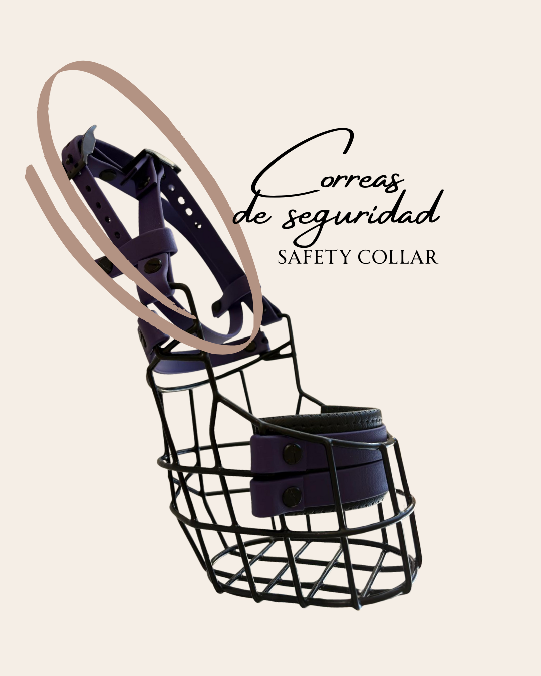 Correas de seguridad - Bozal 13 mm / Herraje de acero inoxidable – CANISEGUROS