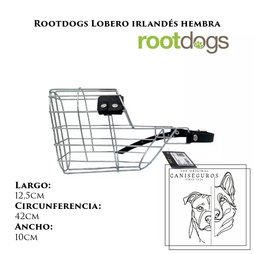 Rootdogs Lobero irlandés hembra