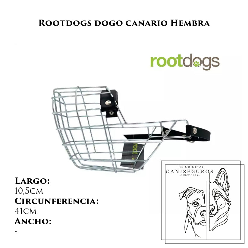 Rootdogs Dogo Canario hembra