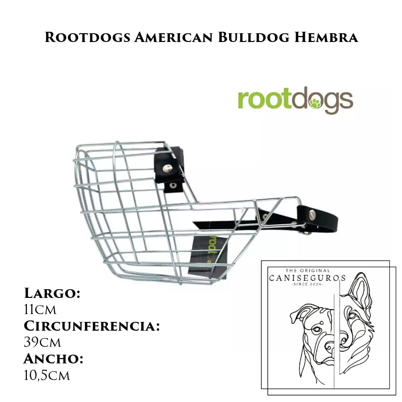 Rootdogs Bulldog americano macho