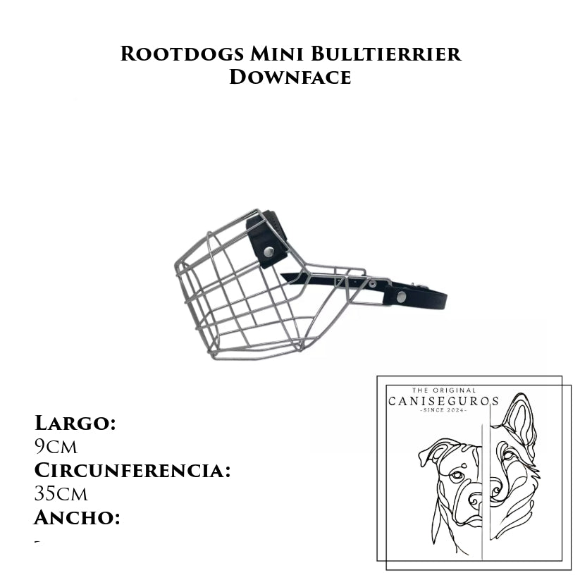 Rootdogs Minibullterrier Downface