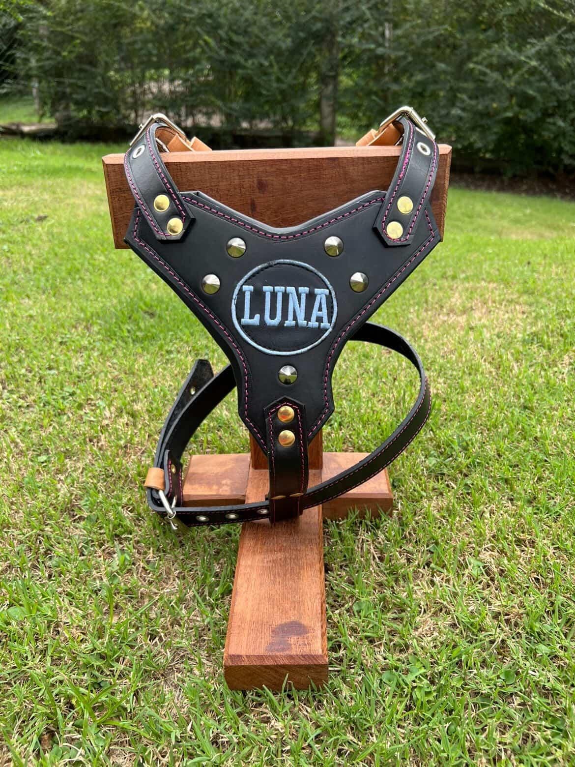 ARNÉS DE CUERO PREMIUM – HECHO A MANO Y PERSONALIZABLE