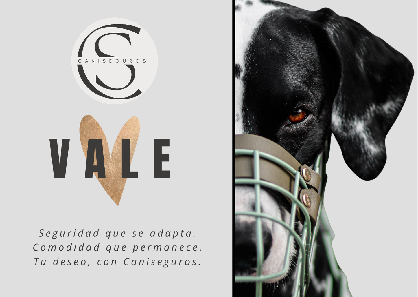 CANISEGUROS - Vales de regalo 10 EUR