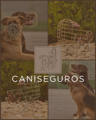 ¿Por qué un bozal? ¿Y para qué se necesita realmente?