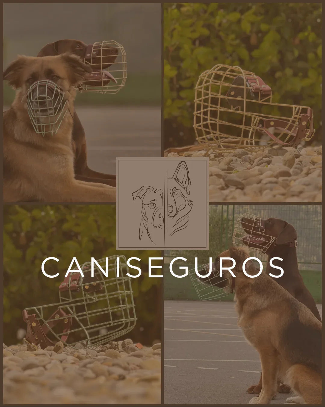 ¿Por qué un bozal? ¿Y para qué se necesita realmente?