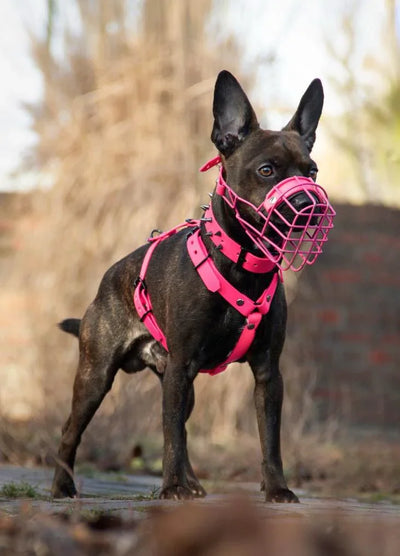 Nuestra misión: redefinir la narrativa del bozal