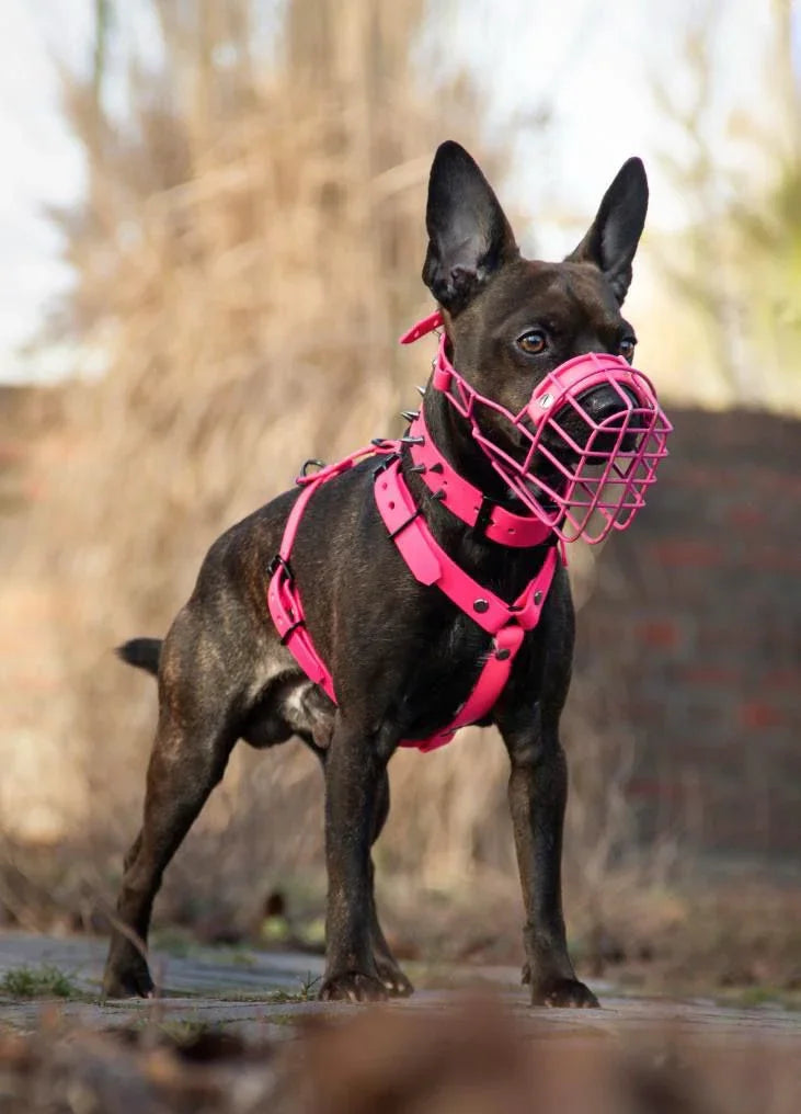 Nuestra misión: redefinir la narrativa del bozal