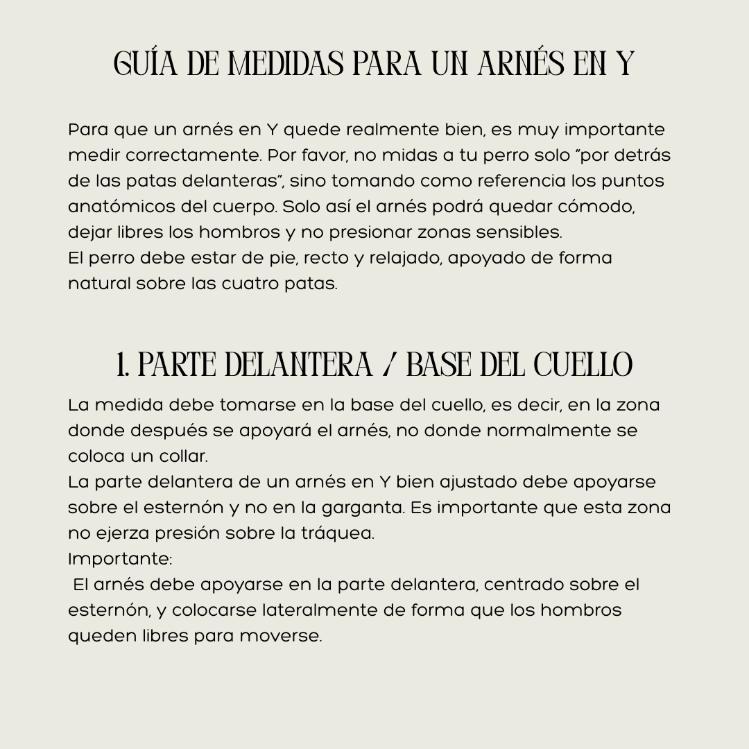 ARNÉS DE CUERO PREMIUM – HECHO A MANO Y PERSONALIZABLE