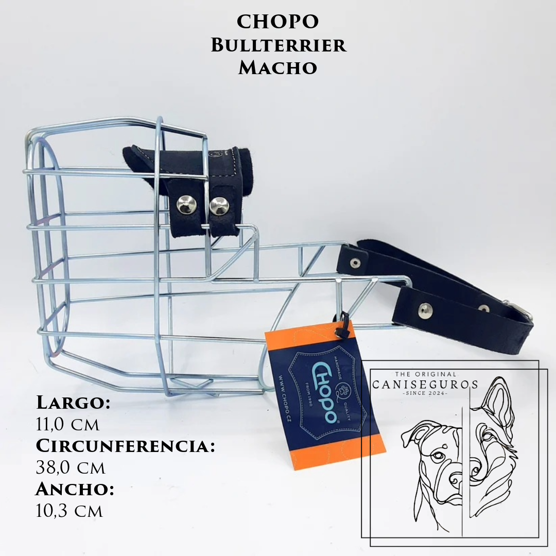 CHOPO Bull Terrier Macho