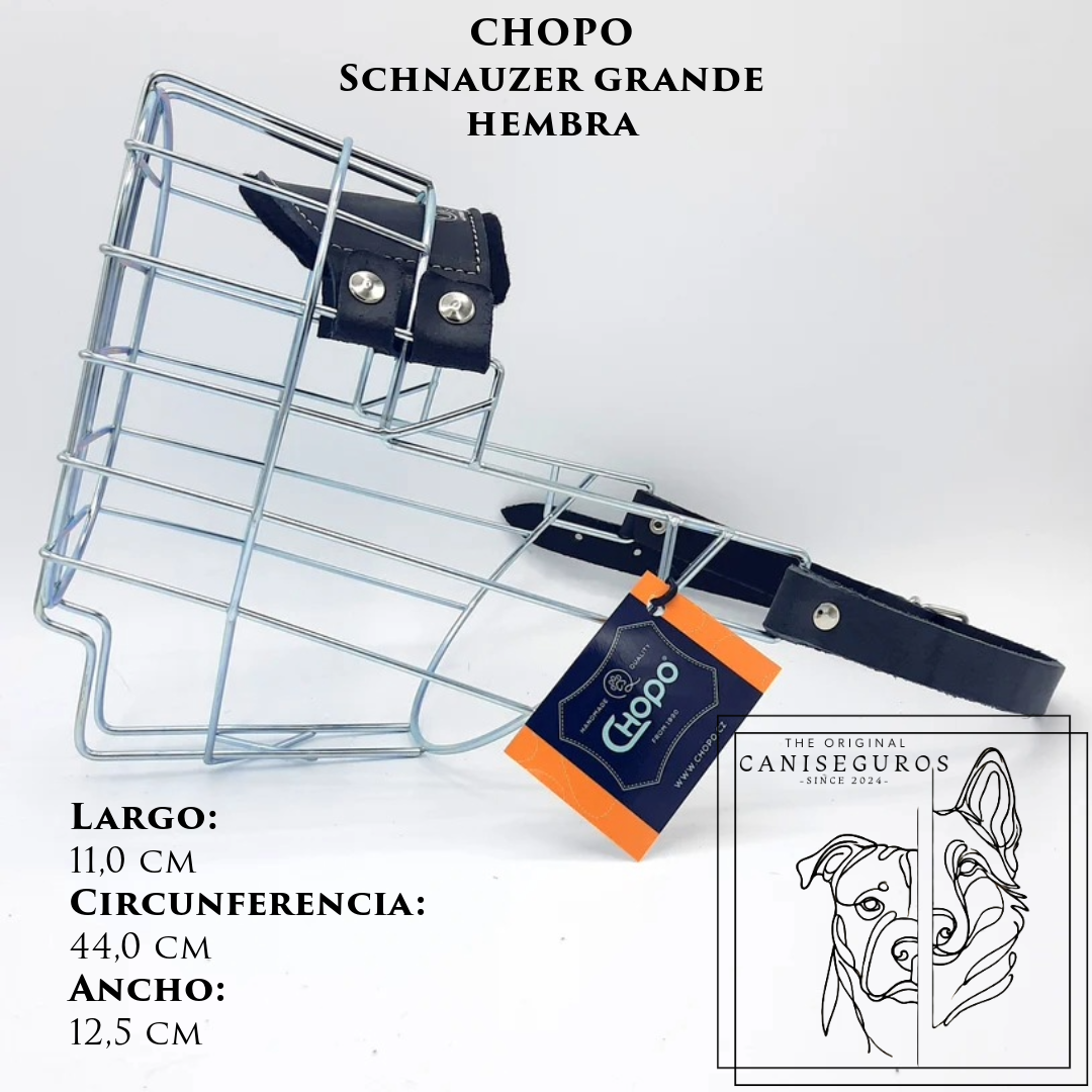 CHOPO Schnauzer Grande Hembra