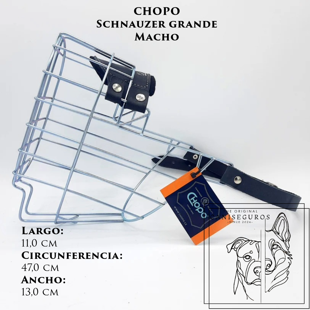 CHOPO Schnauzer Grande Macho