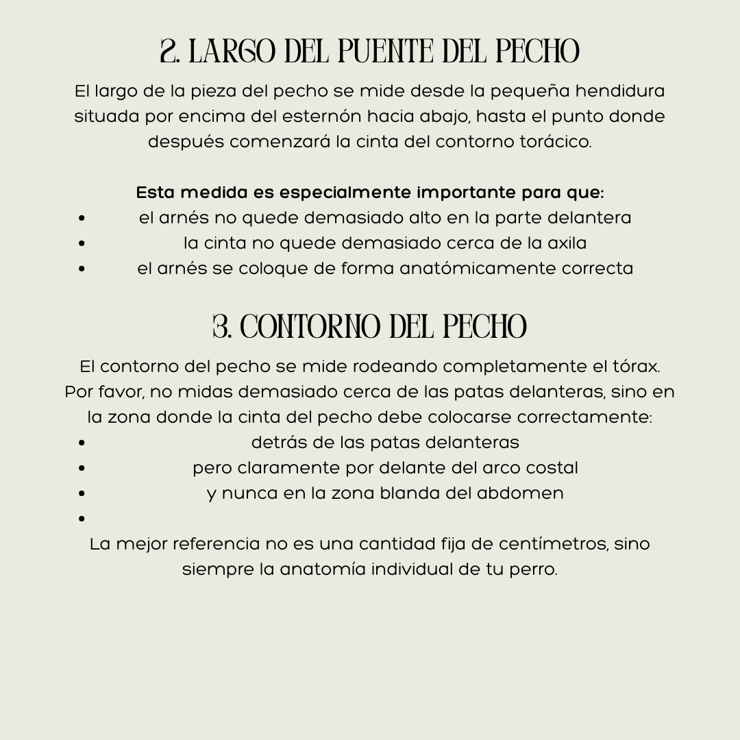 ARNÉS DE CUERO PREMIUM – HECHO A MANO Y PERSONALIZABLE