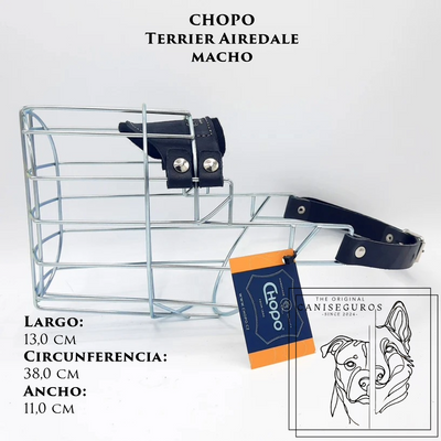 CHOPO Airedale Terrier Macho