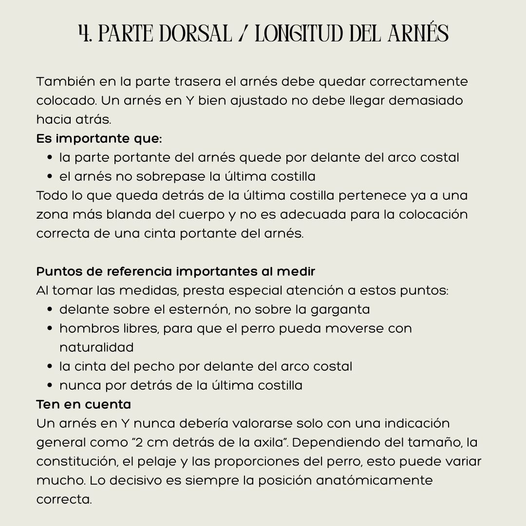 ARNÉS DE CUERO PREMIUM – HECHO A MANO Y PERSONALIZABLE