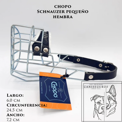 CHOPO Schnauzer Pequeño Hembra