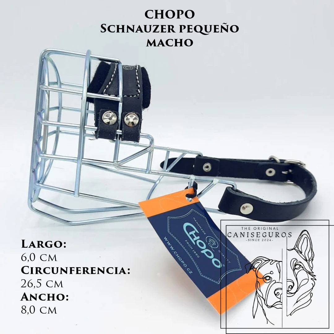 CHOPO Schnauzer Pequeño Macho