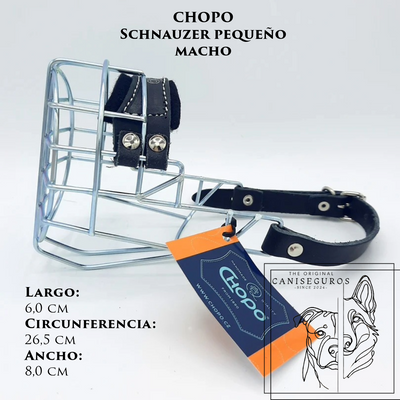 CHOPO Schnauzer Pequeño Macho