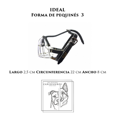 IDEAL Forma de Pequines 3