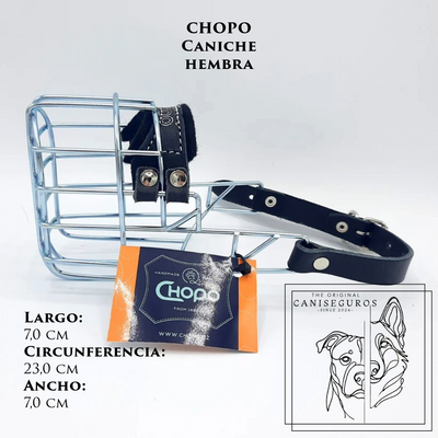 CHOPO Caniche Hembra