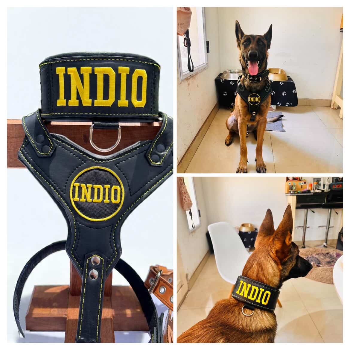 COLLAR DE CUERO PREMIUM – HECHO A MANO Y PERSONALIZABLE