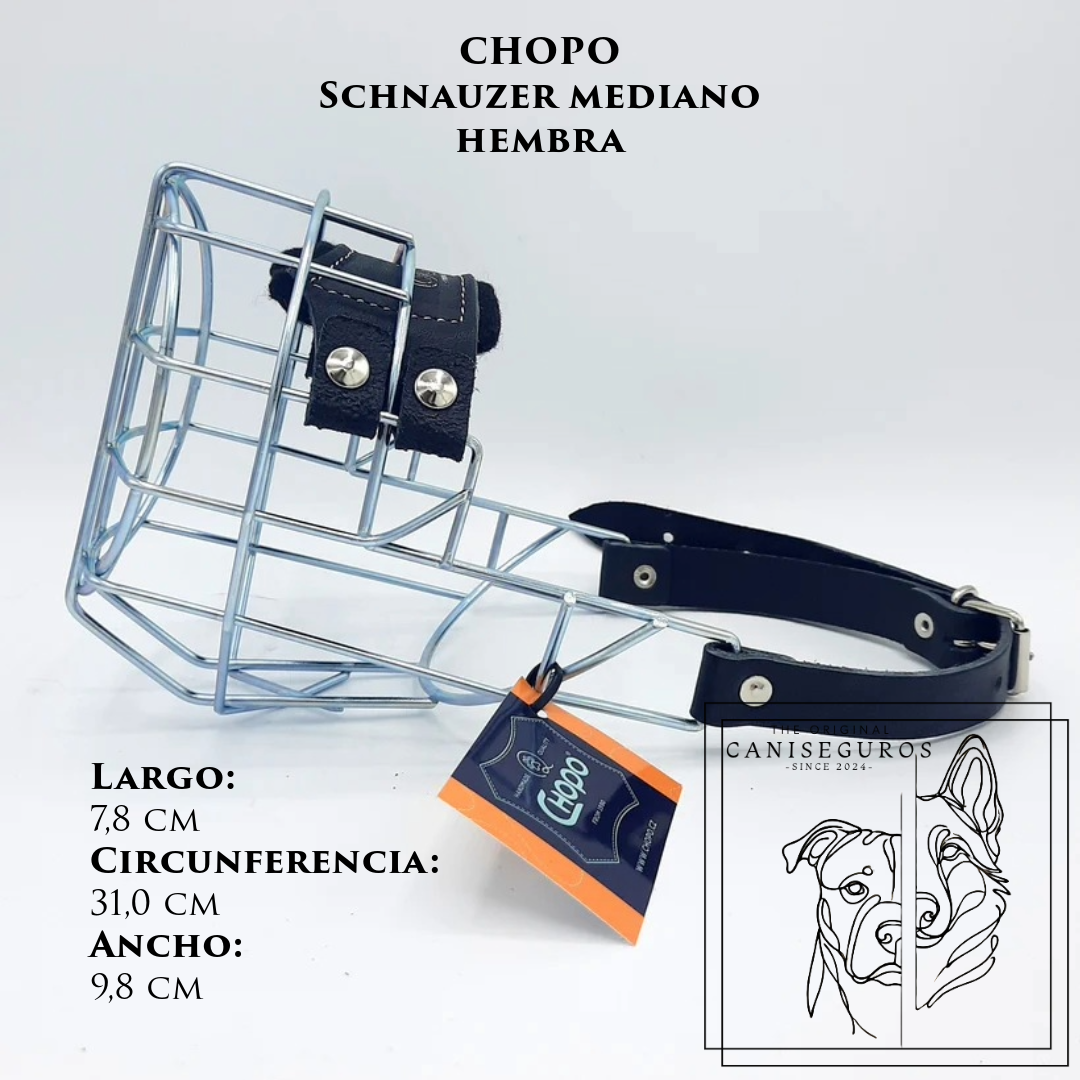CHOPO Schnauzer Mediano Hembra