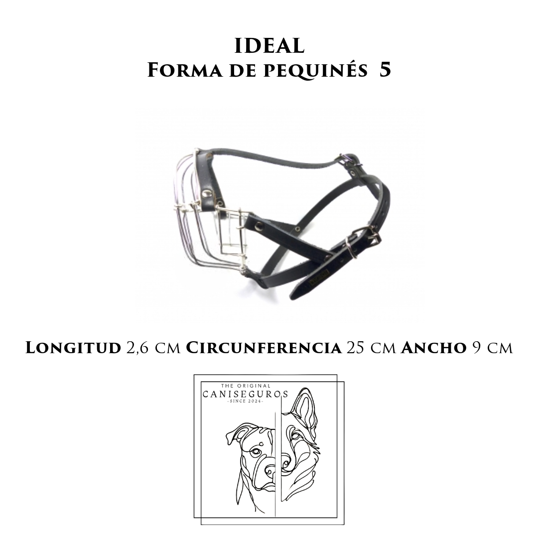 IDEAL Forma de Pequines 5