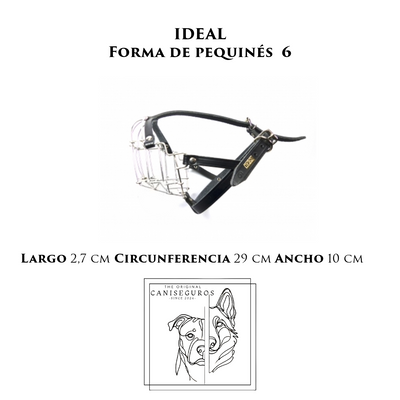 IDEAL Forma de Pequines 6