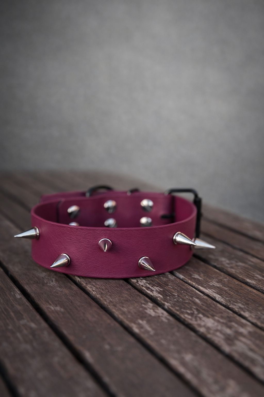 Collar de Classic BioThane