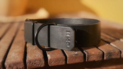 Collar classic cuero