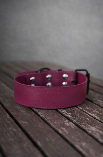 Collar de Classic BioThane