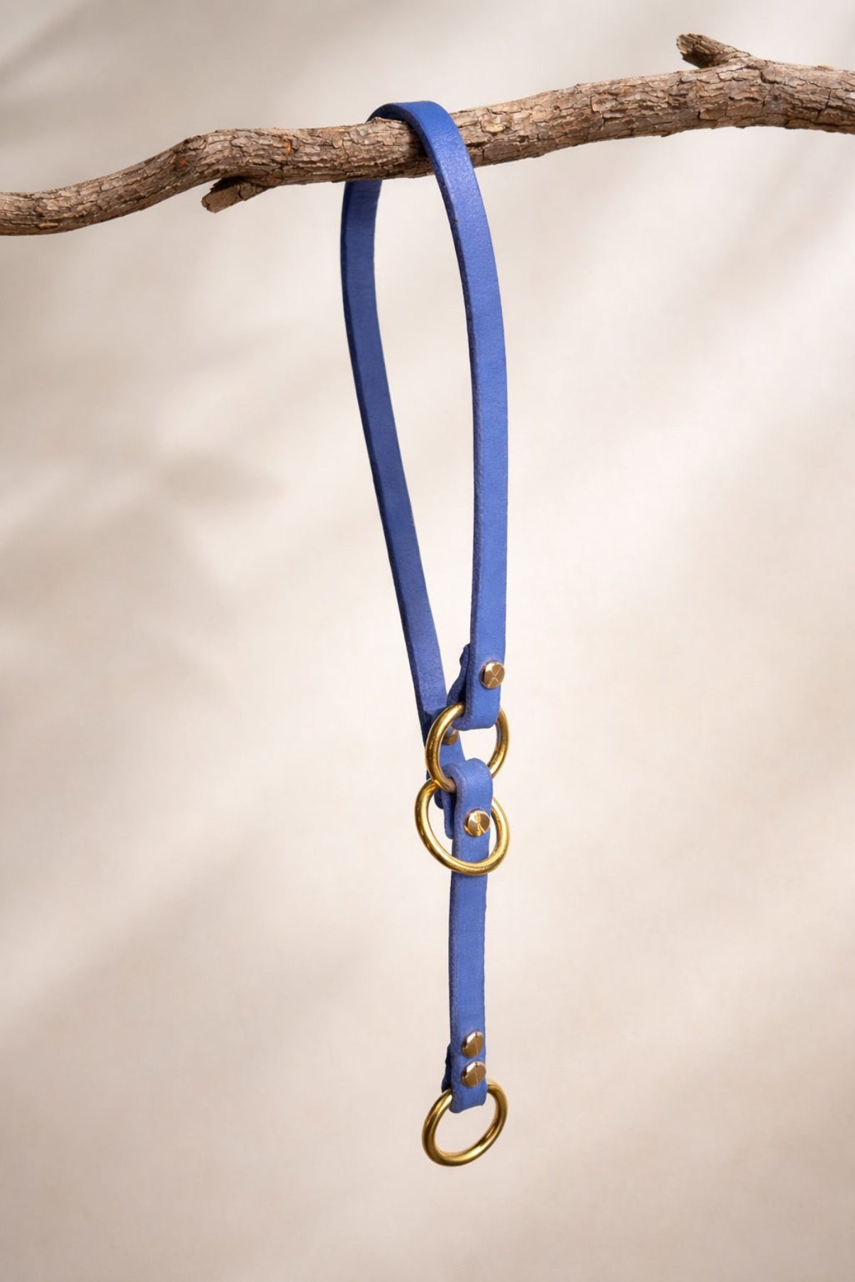 Collar de cuero con tope (Limited Slip)