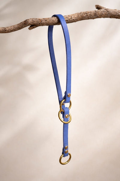 Collar de cuero con tope (Limited Slip)