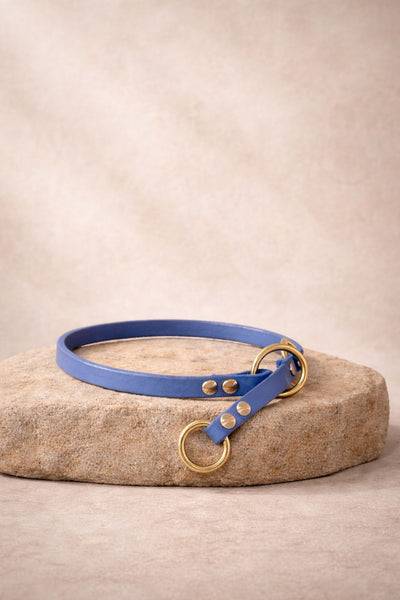 Collar de cuero con tope (Limited Slip)