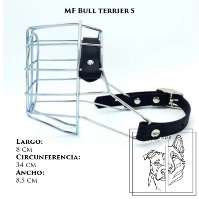 MF Bullterrier S