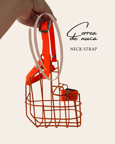 Correa de cierre 16 mm / Herraje de acero inoxidable – CANISEGUROS