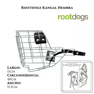 Rootdogs Kangal hembra