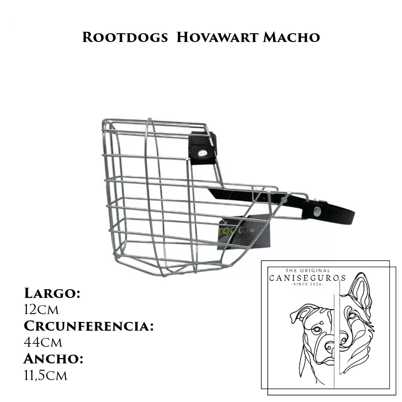 Rootdogs Hovawart macho