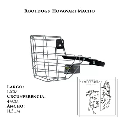 Rootdogs Hovawart macho