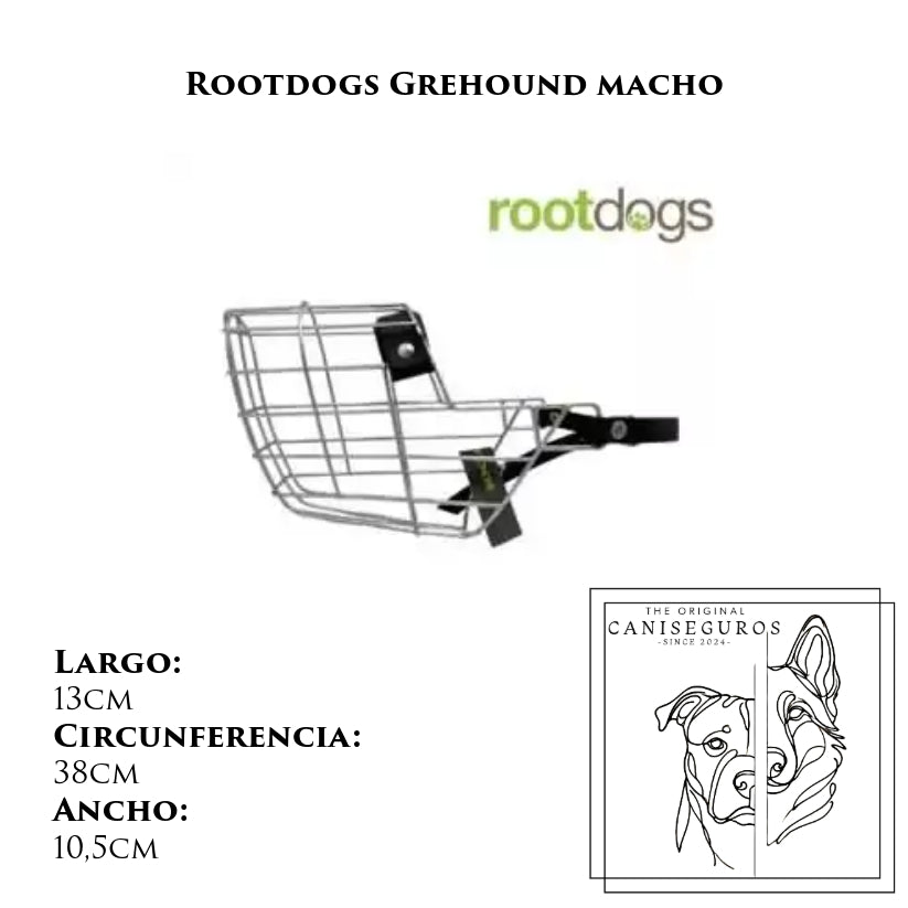 Rootdogs Grehound macho