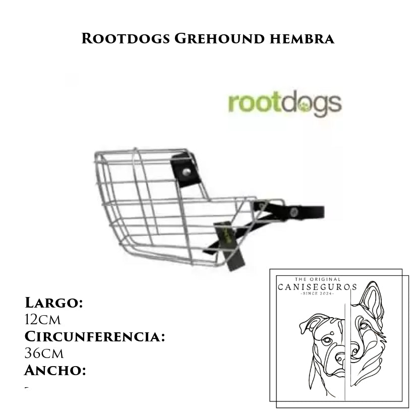 Rootdogs Grehound hembra