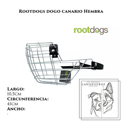 Rootdogs Dogo Canario hembra