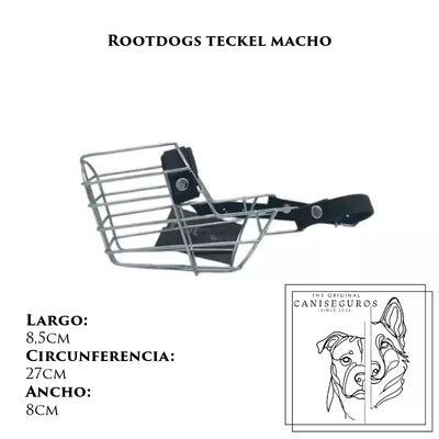 Rootdogs Teckel macho