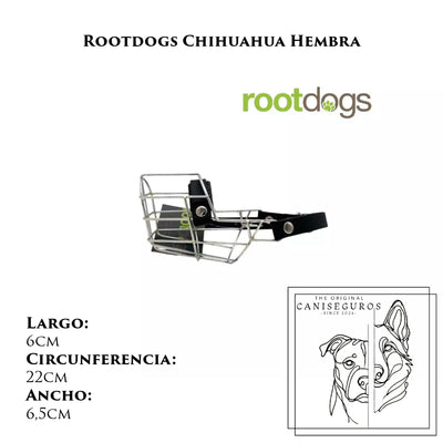 Rootdogs Chihuahua hembra