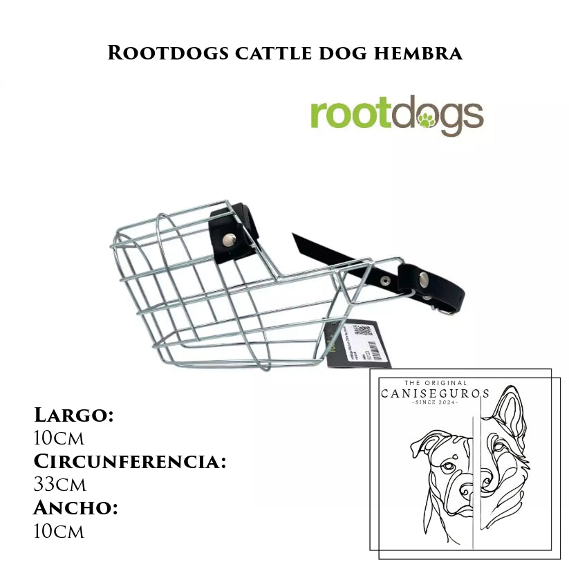 Rootdogs Cattle Dog hembra