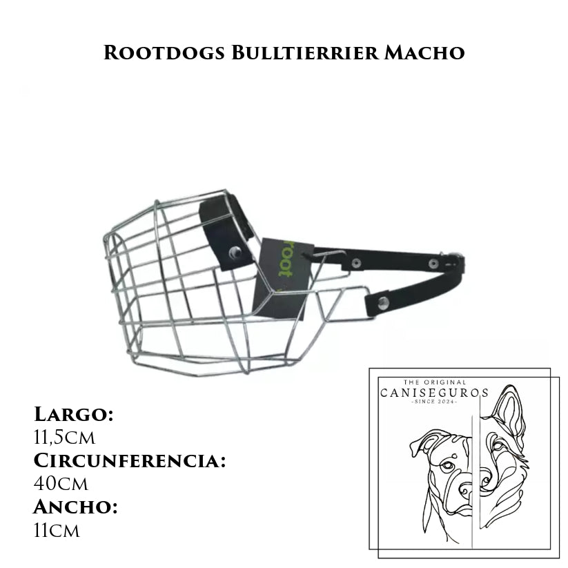 Rootdogs Bullterrier macho