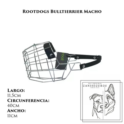 Rootdogs Bullterrier macho