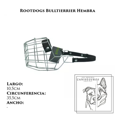 Rootdogs Bullterrier hembra